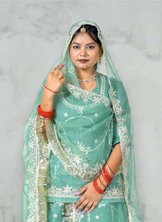 Chandrika Rani Mint Green Chiffon