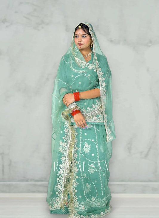 Chandrika Rani Mint Green Chiffon